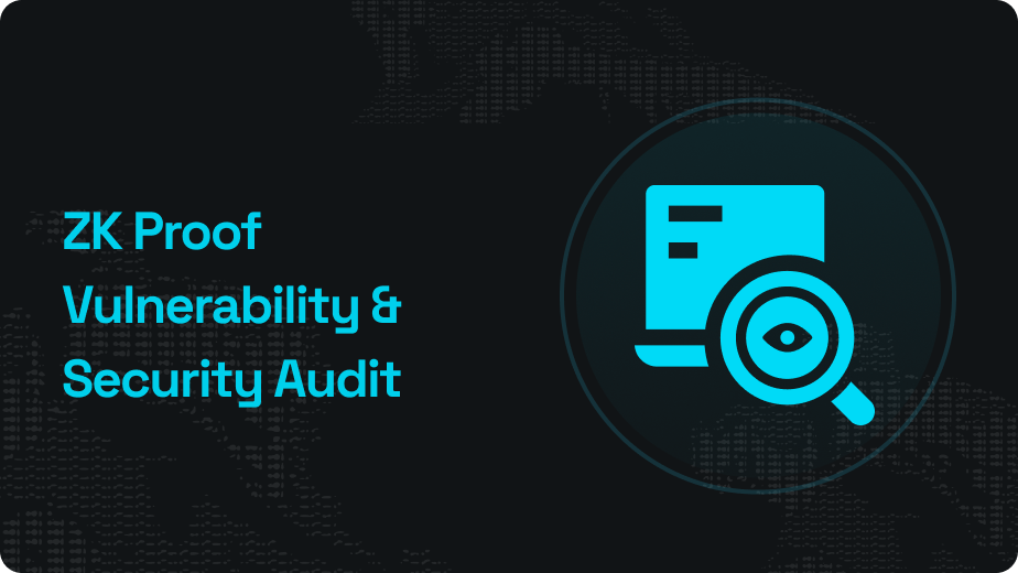 Zero-Knowledge Proof Vulnerability Analysis and Security Auditing